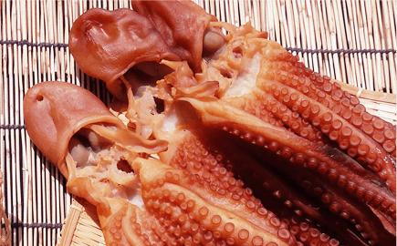 有限会社 藤田水産