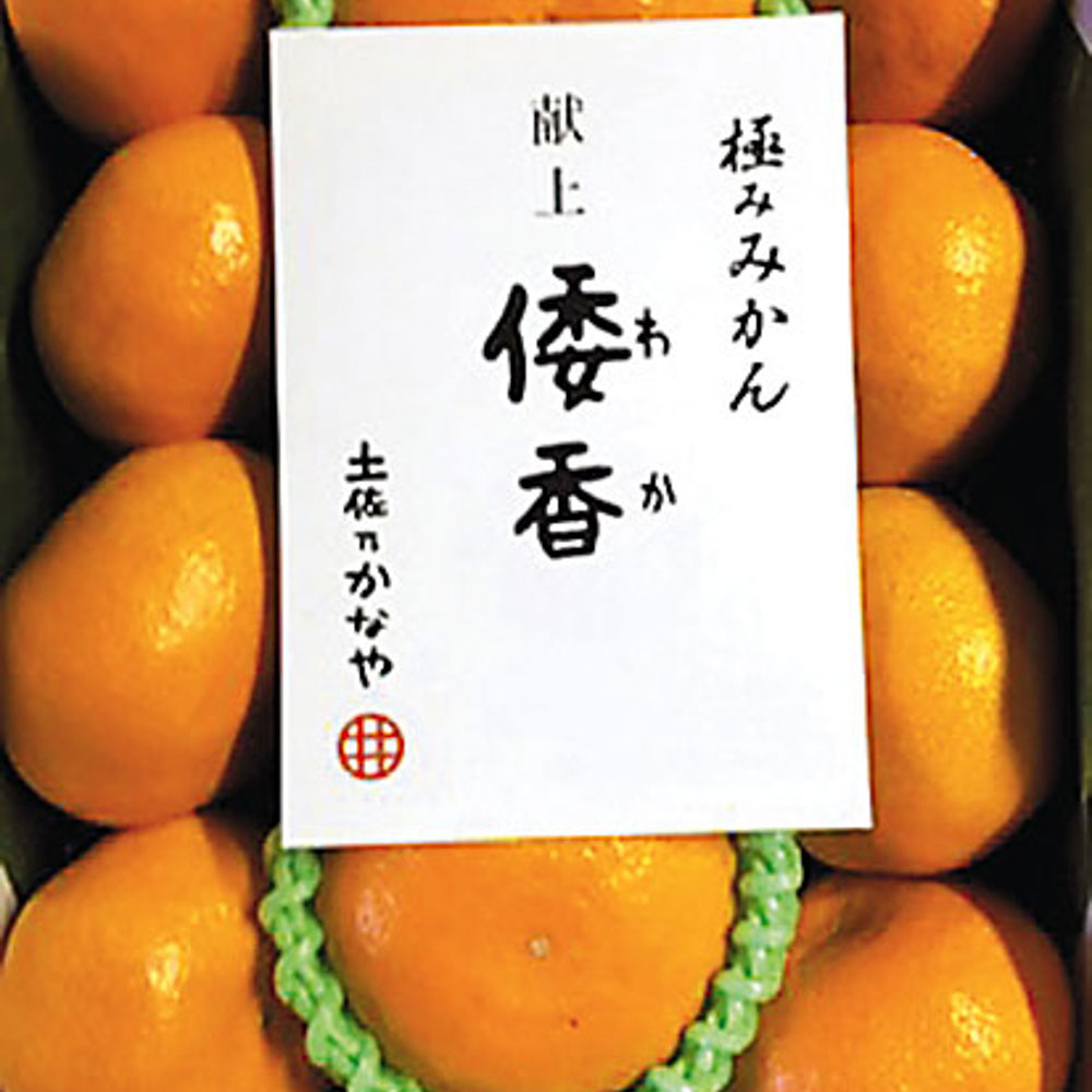 12月下旬頃～【Benifare】土佐乃かなや皇室献上みかん「倭香」2.8kg