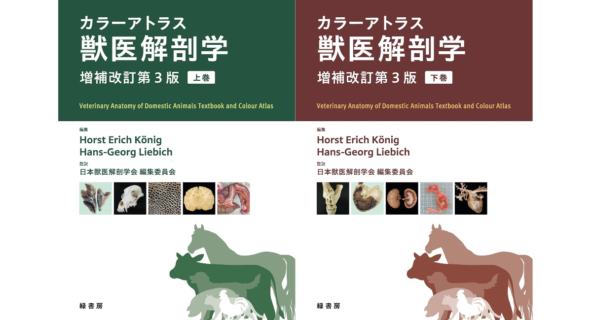 新刊】獣医解剖学書の世界的スタンダードの最新版！ 『カラーアトラス