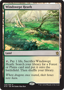 吹きさらしの荒野/Windswept Heath》[KTK] 土地R | 日本最大級 MTG通販