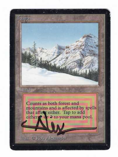 Taiga》[LEB] 土地R | 日本最大級 MTG通販サイト「晴れる屋」