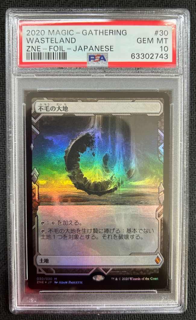 PSA10 古えの墳墓 不毛の大地 虹色の眺望 ほか13枚セット ZNE 021