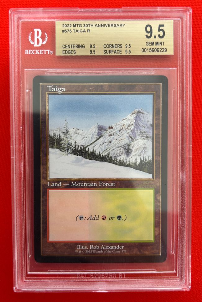 □旧枠□《Taiga》[30A] 土地R | 日本最大級 MTG通販サイト「晴れる屋」