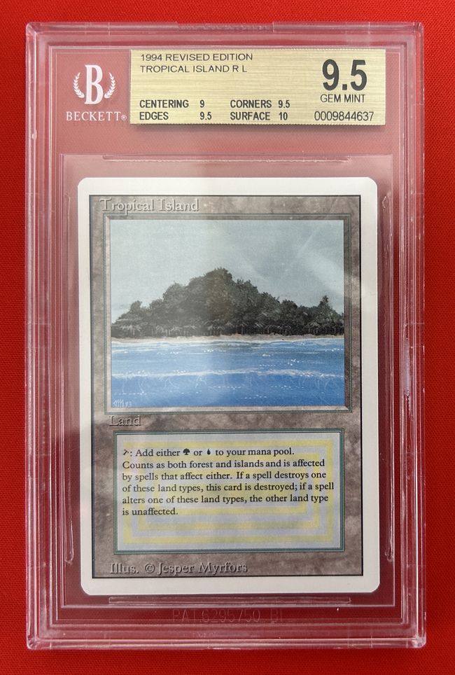 デュアルランド Tropical 、Bayou セット デュアルランド Tropical