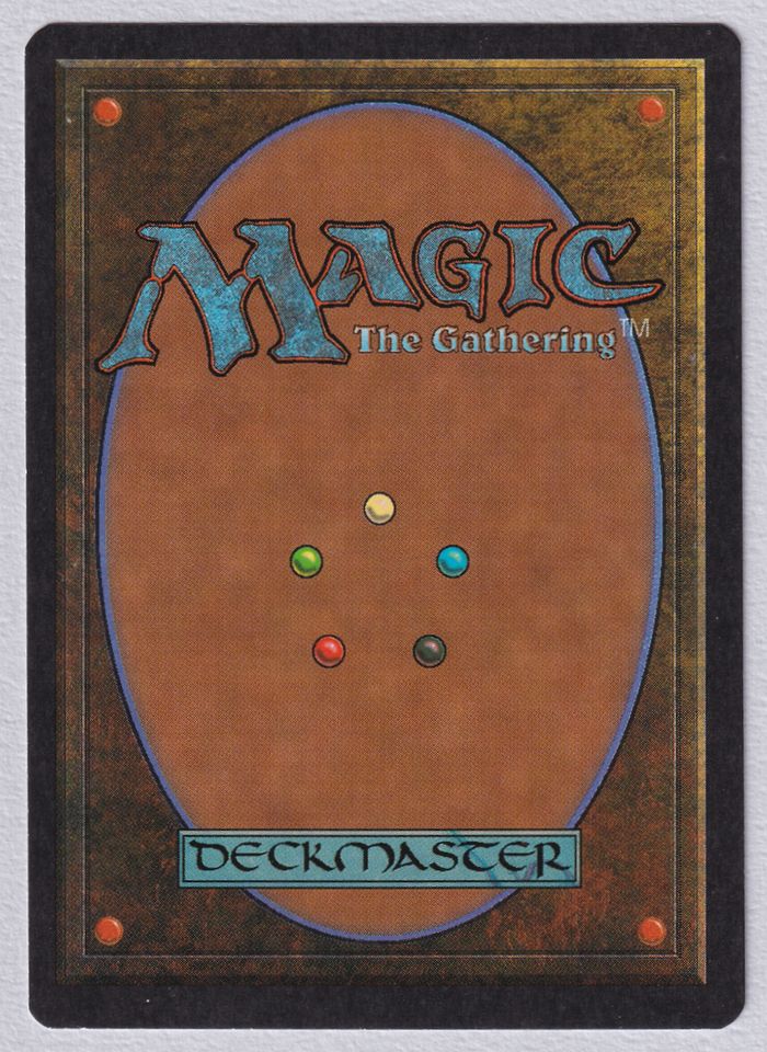 島/Island》[Summer Magic]C 土地 | 日本最大級 MTG通販サイト「晴れる屋」