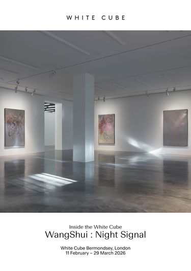 Pieter Hugo's Art For Sale, Exhibitions & Biography | Ocula Artist