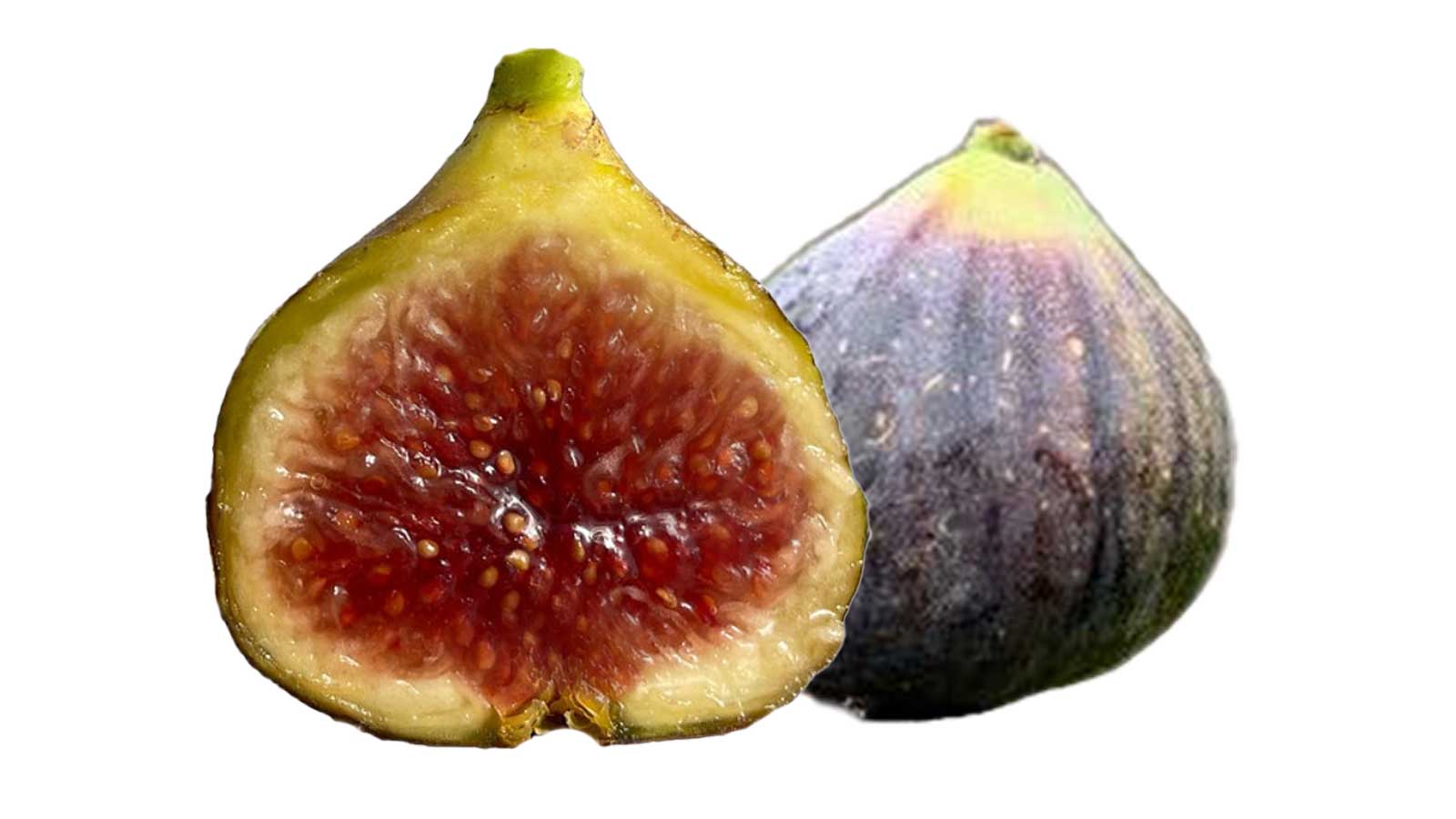 Black Madeira(JFE)(ブラック マデイラ JFK)の特徴・味・耐寒性・栽培