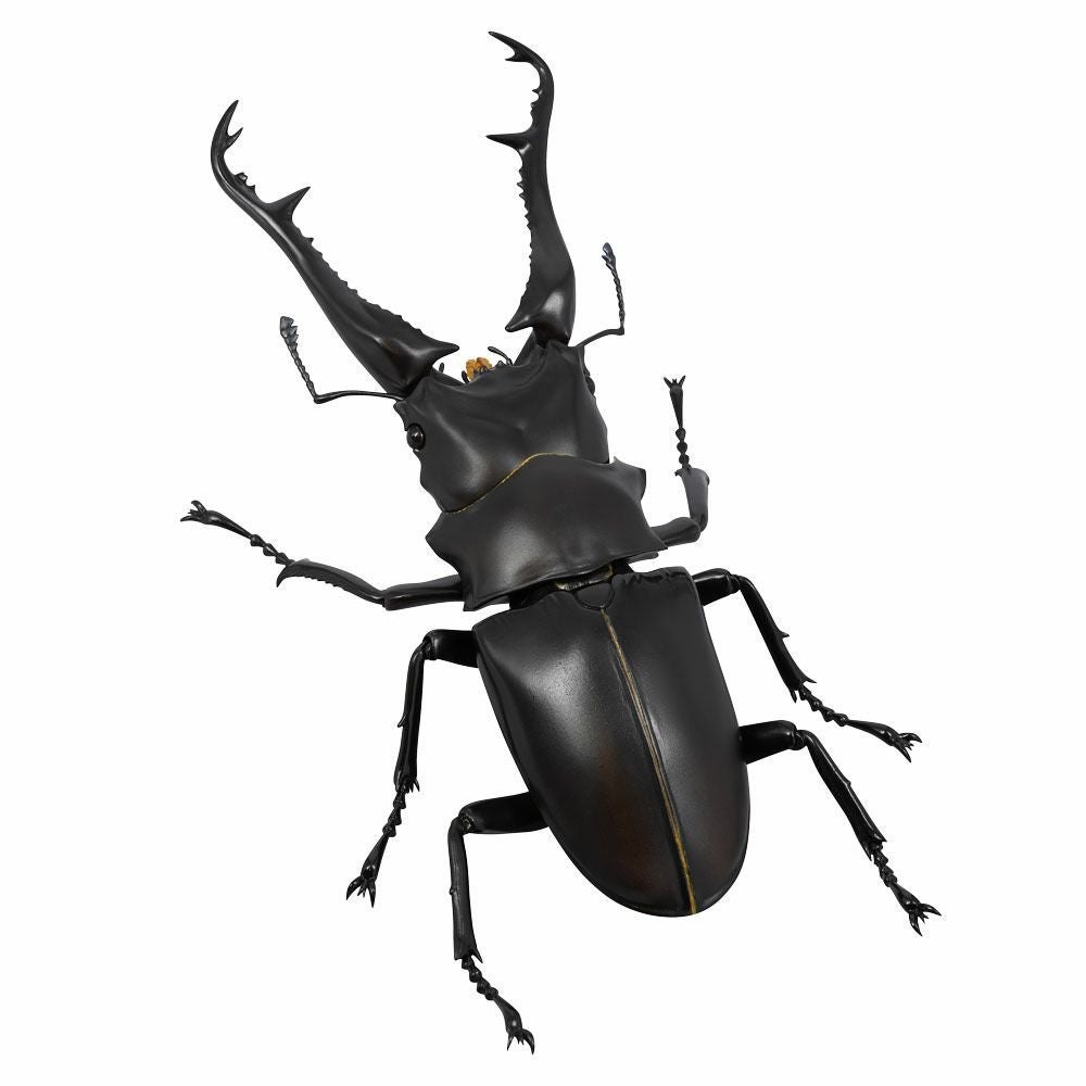 000000000808-01.jpg?size=m&w=