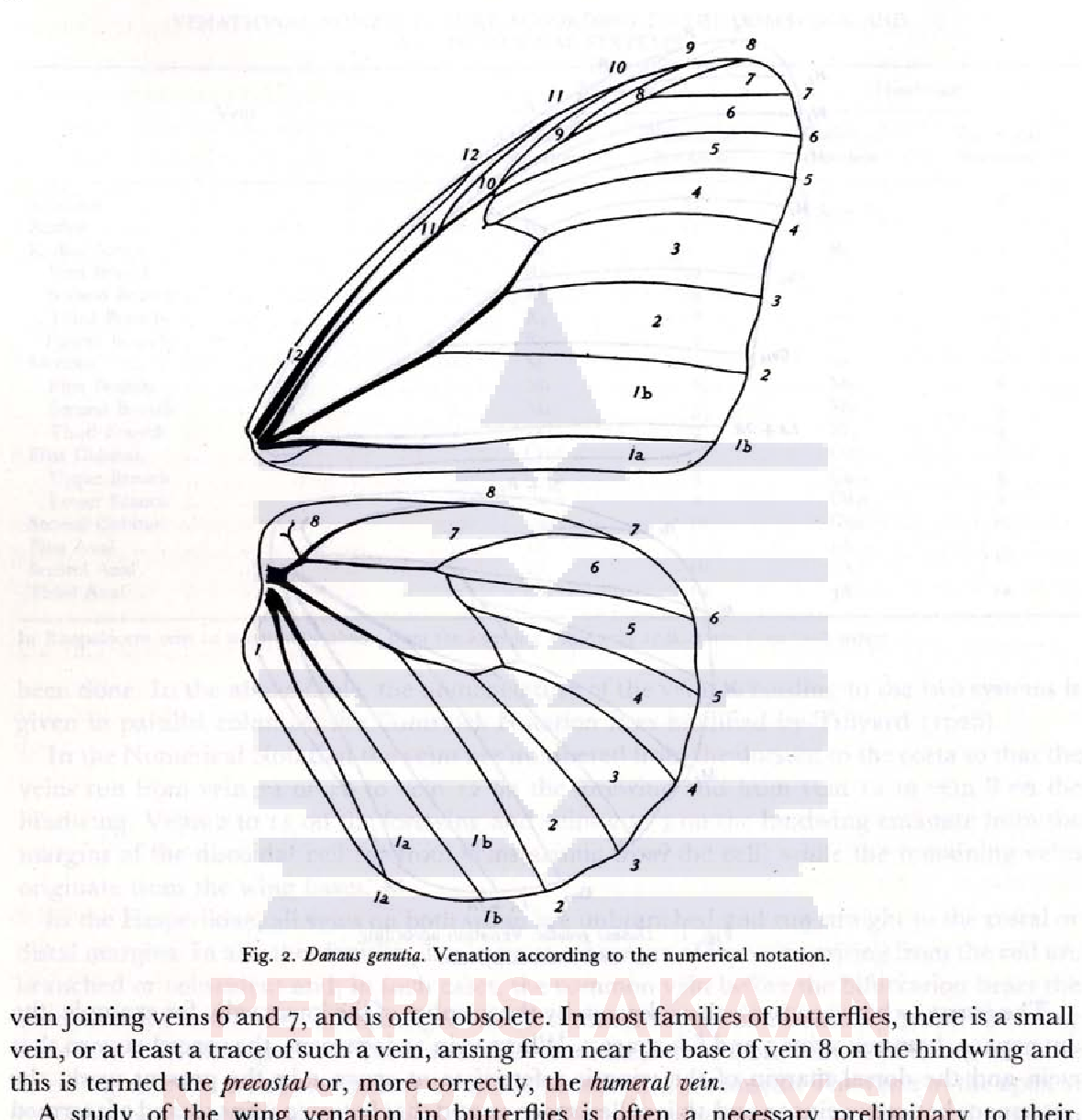 PDF] The butterflies of the Malay Peninsula | Semantic Scholar