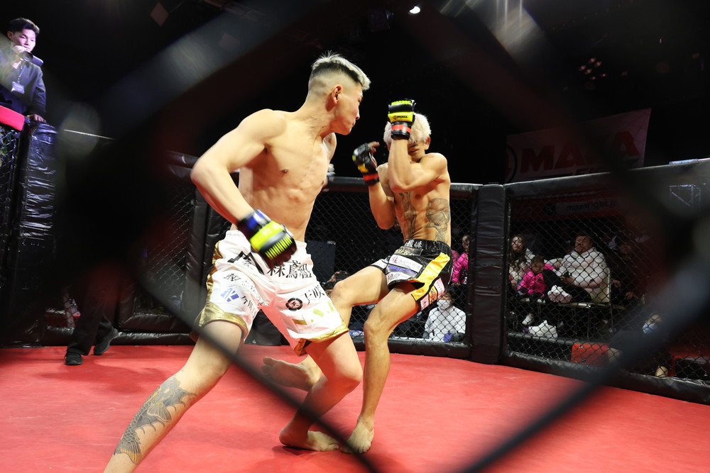 2026年2月8日WARDOG CAGE FIGHT 55レポート | ファイターズスピリッツ