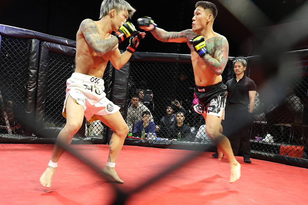 2026年2月8日WARDOG CAGE FIGHT 55レポート | ファイターズスピリッツ