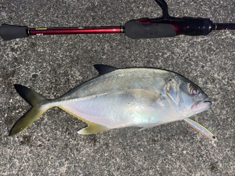 ダイワ 21月下美人MXメバルモデル68L-Sを徹底インプレ！ | まるなか