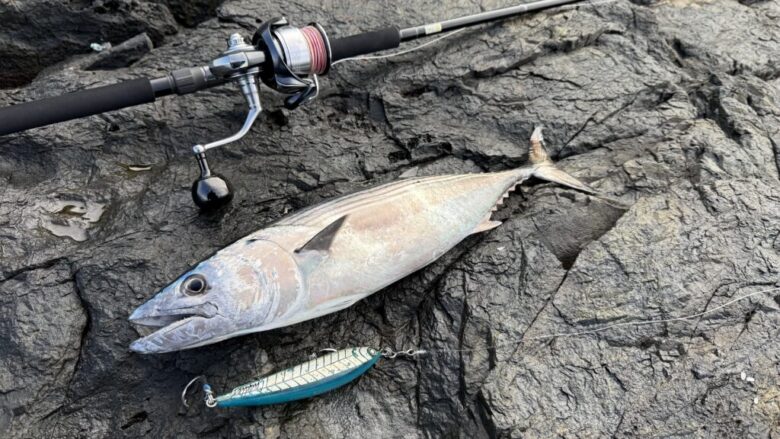 絶妙な反発感】ヤマガブランクス ブルースナイパー100M-MH徹底インプレ