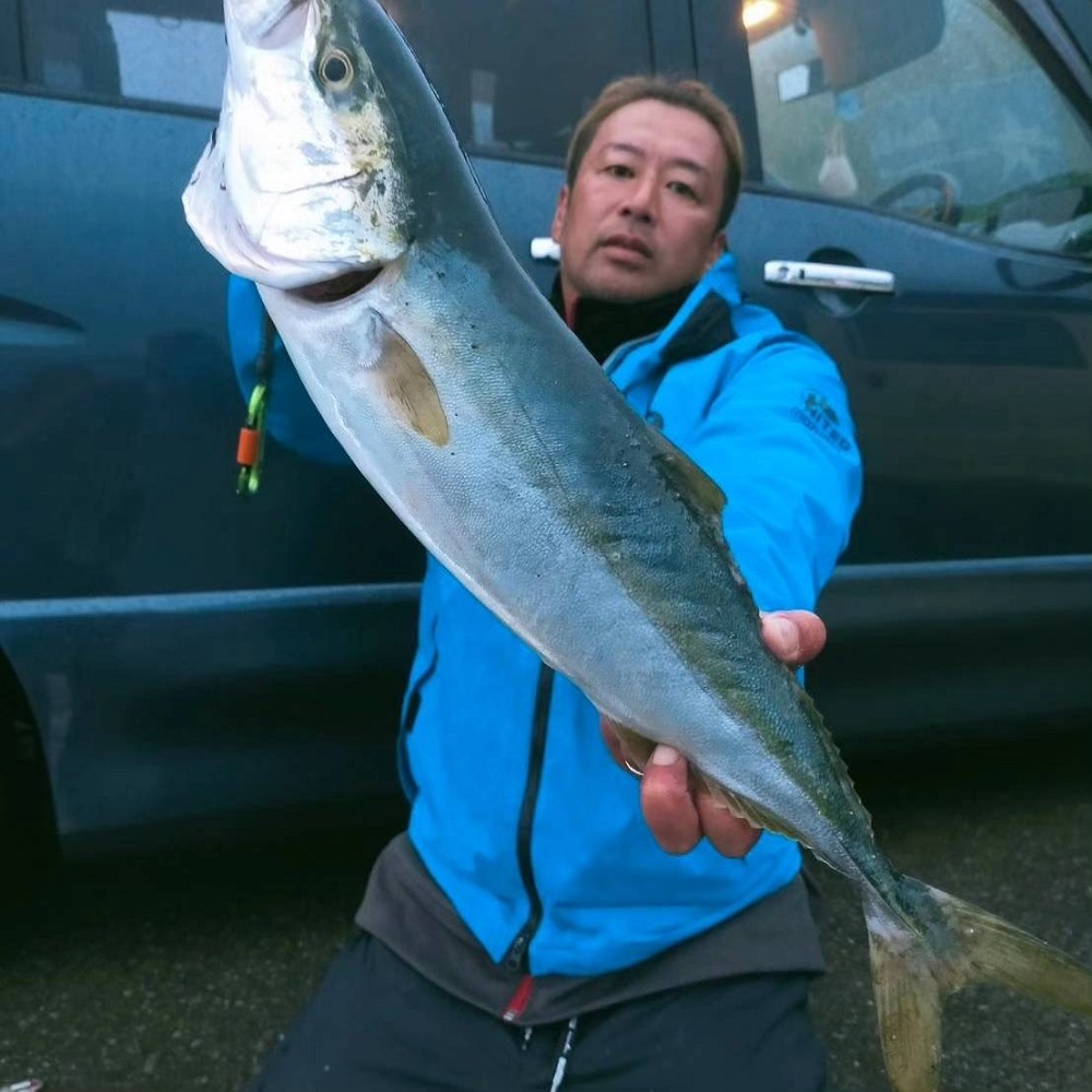 ヒラメ・シーバス・フクラギ | フィッシングポイント