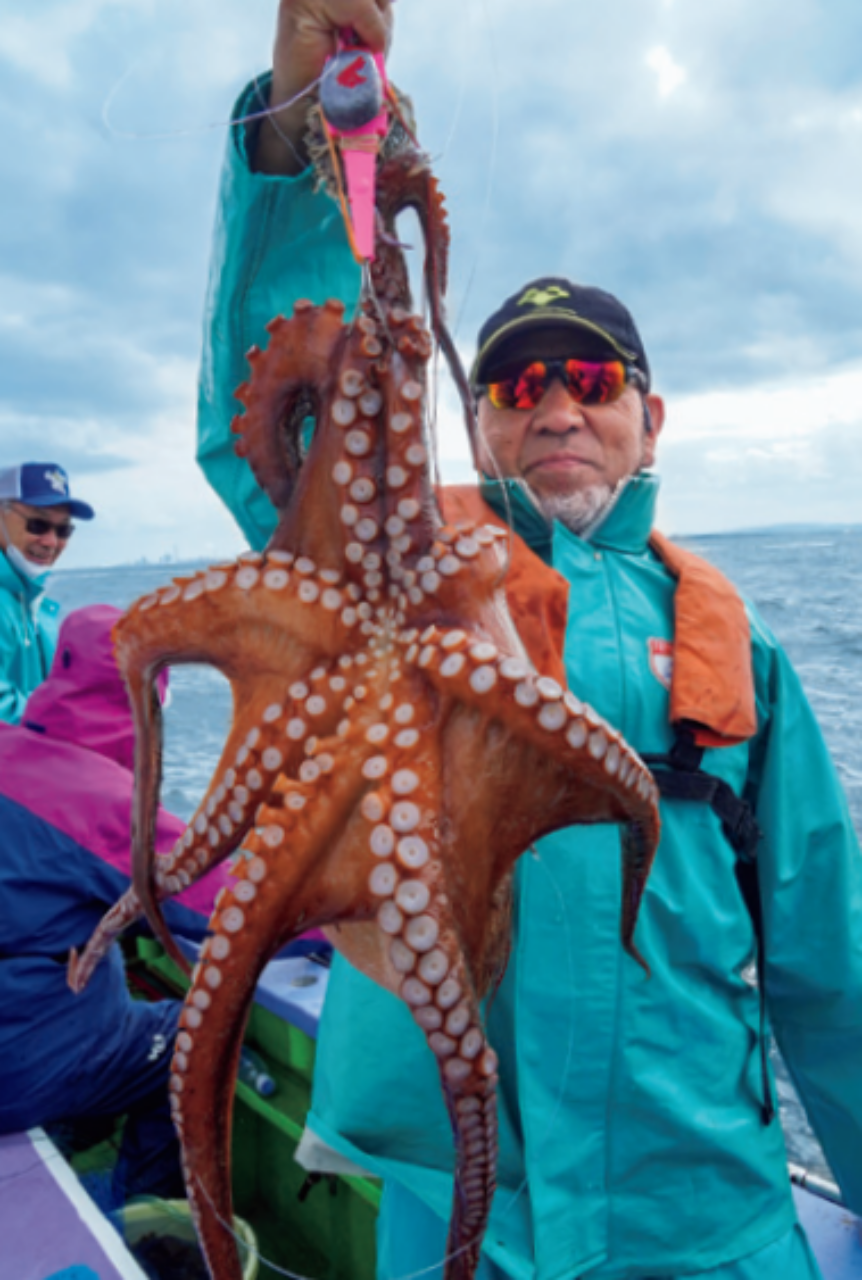 東京湾マダコ2023 富津から好調開幕！