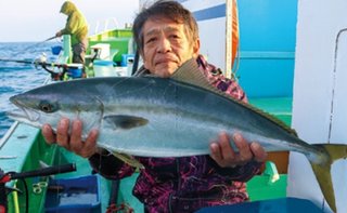 久里浜沖のコマセダイ