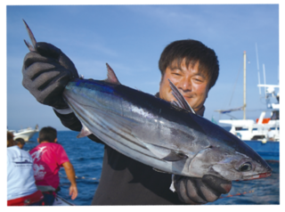 初日から良型カツオ出現 今年はマジで期待できそう！