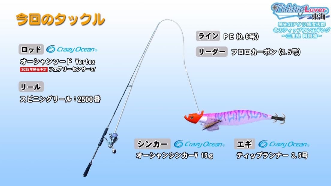 穂先のアタリ感度抜群 冬のティップランエギング ～三重県阿曽浦