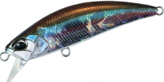 DUO Spearhead Ryuki 50S #ADA4013 Wakasagi Lures buy at Fishingshop