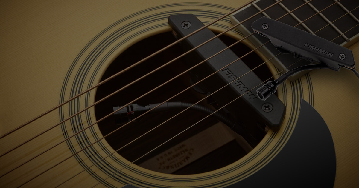 Rare Earth Mic Blend Active Soundhole Pickup