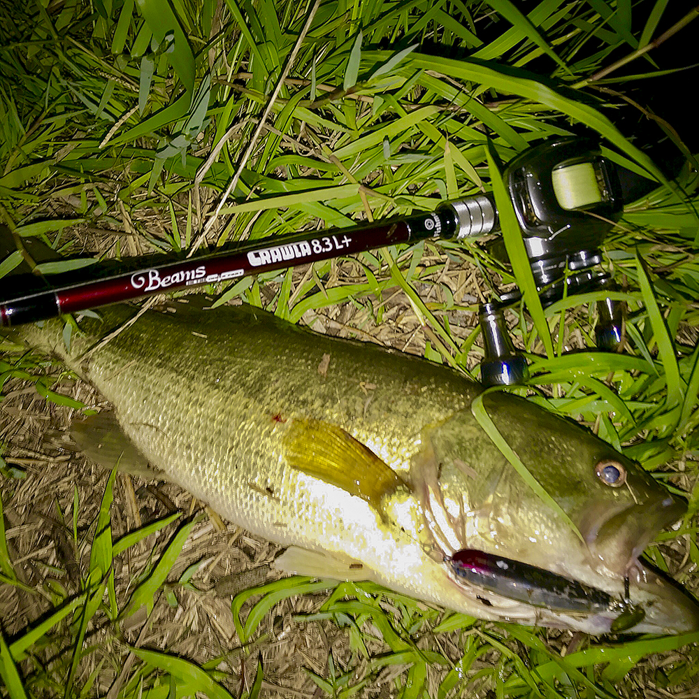 Beams CRAWLAメソッド解説！】Beams CRAWLA8.3L+の潜在能力について