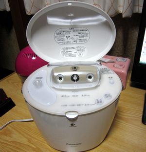 Panasonic / イオンスチーマー ナノケア EH-SA91の公式商品情報｜美容