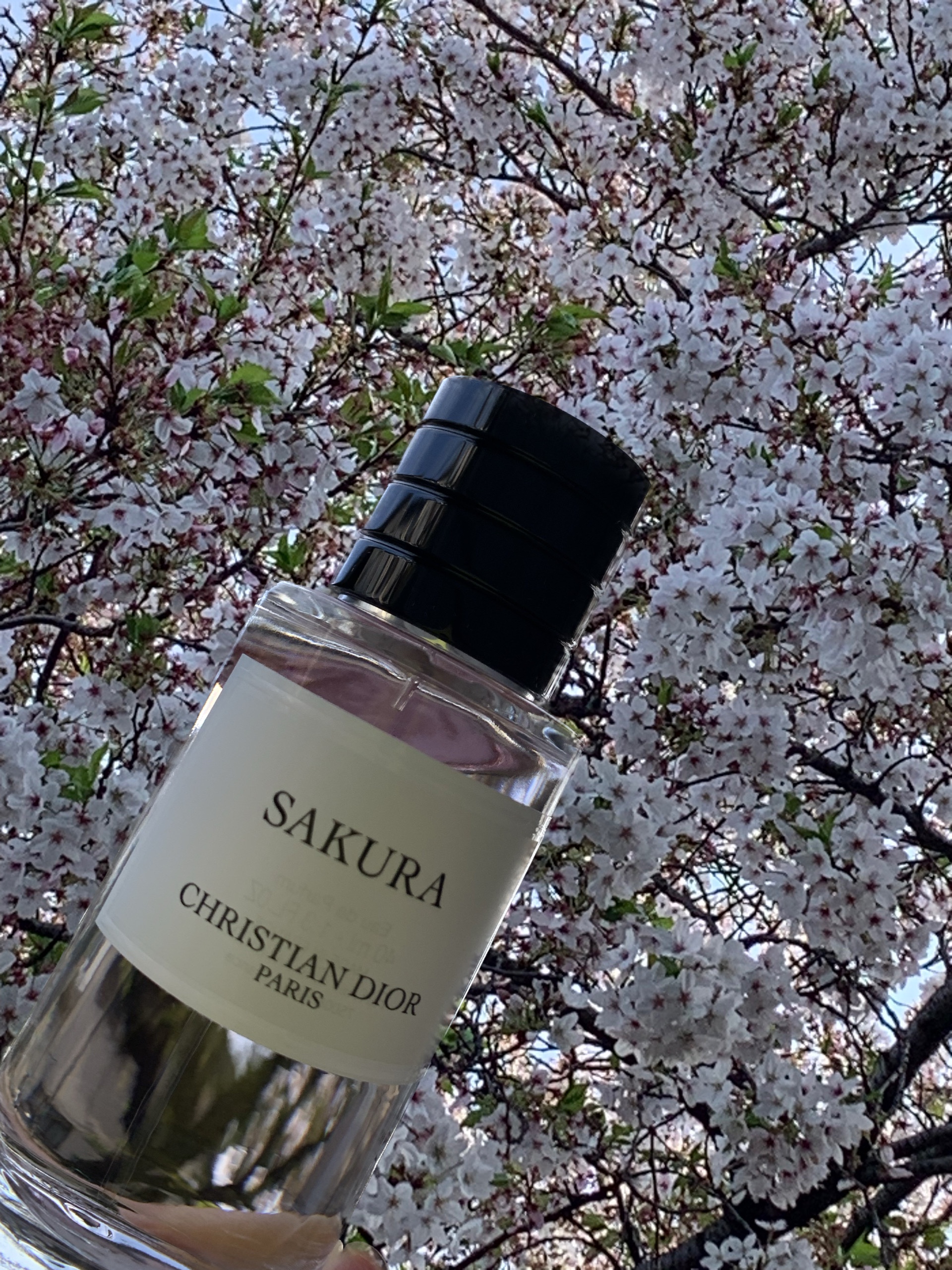 ディオール / サクラ オードゥ パルファンの公式商品情報｜美容