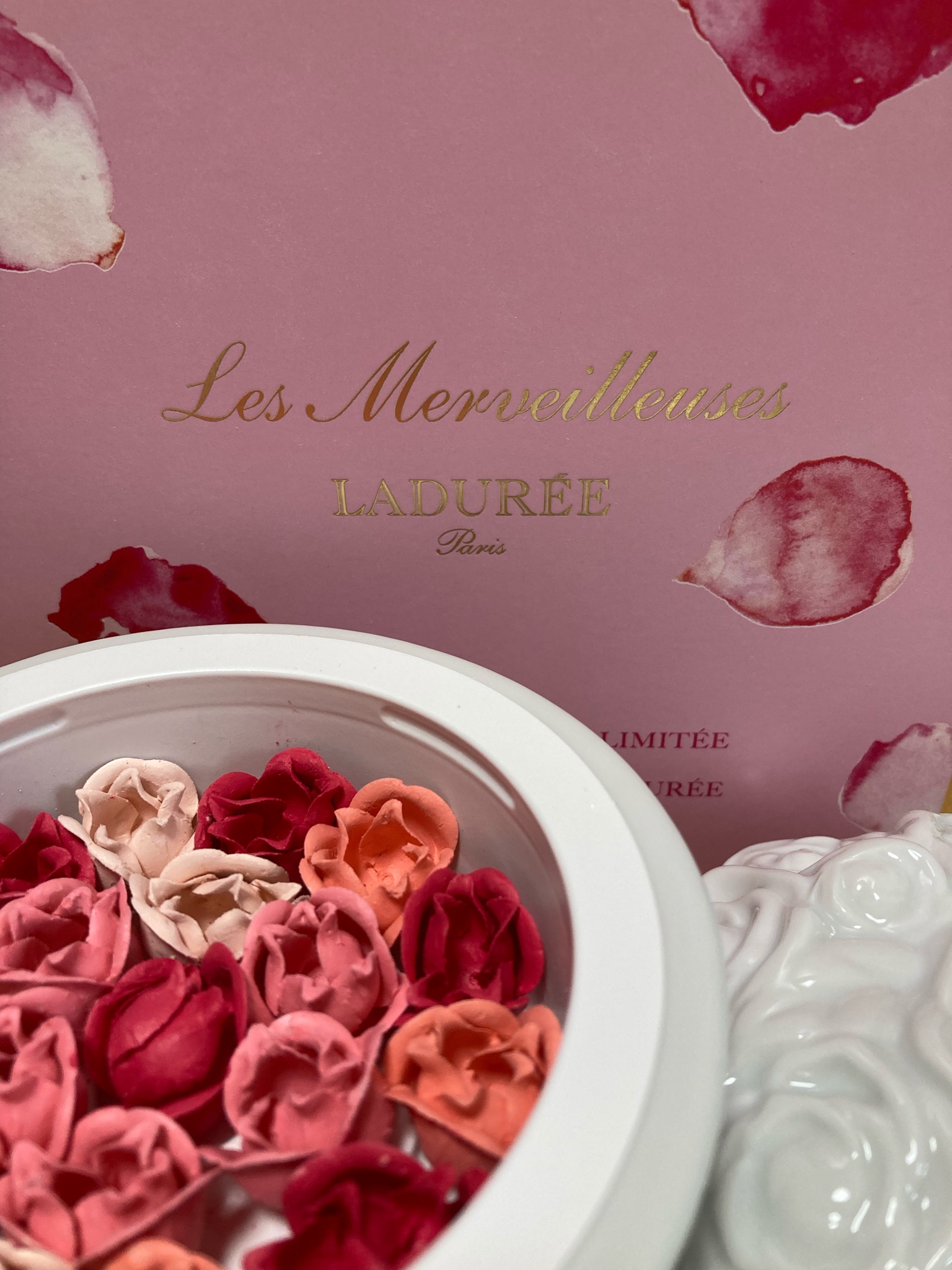 リミテッド エディション ローズ ラデュレ / 102（ブラッセ・ドゥ