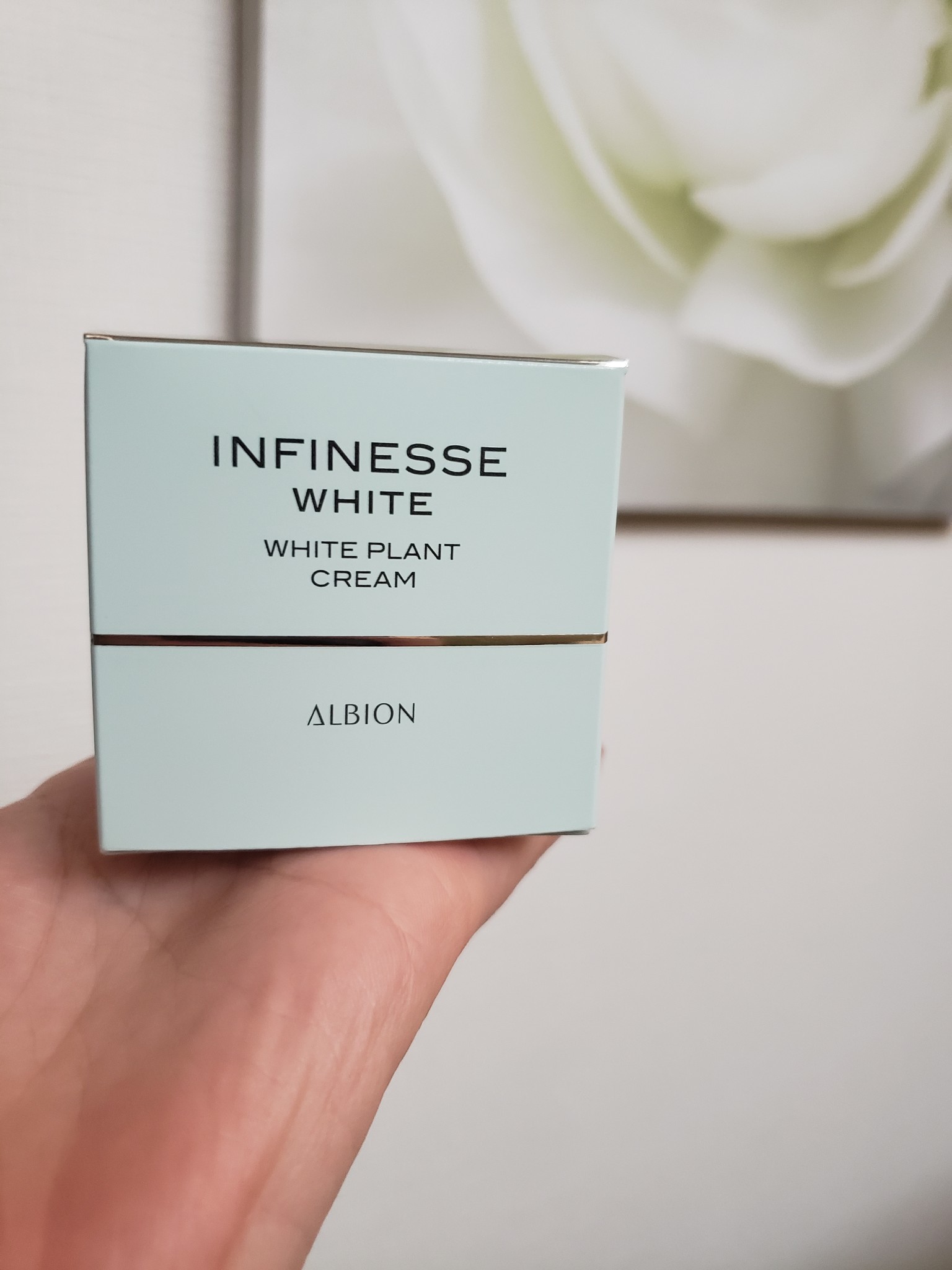 アルビオン / アンフィネスホワイト ホワイト プラント クリームの公式