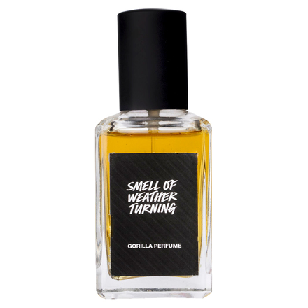 ラッシュ / スメル オブ ウェザー ターニングの公式商品情報｜美容