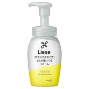 ディシラ / デザイニング ヘアムースの公式商品情報｜美容・化粧品情報