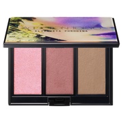 アディクション / ホリデーアディクション ブラッシュ パレット