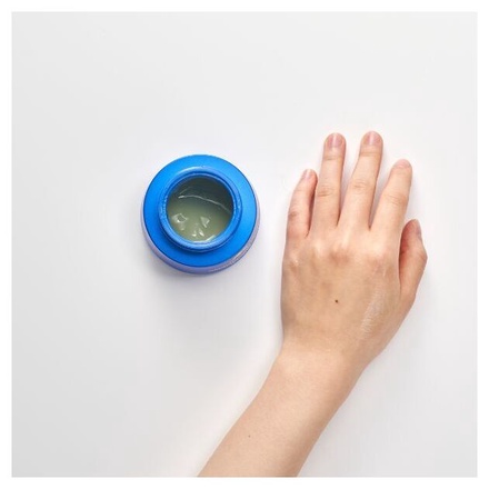 DR PLANT / セッコク蘭エイジングケアオールインワンジェル 100gの公式