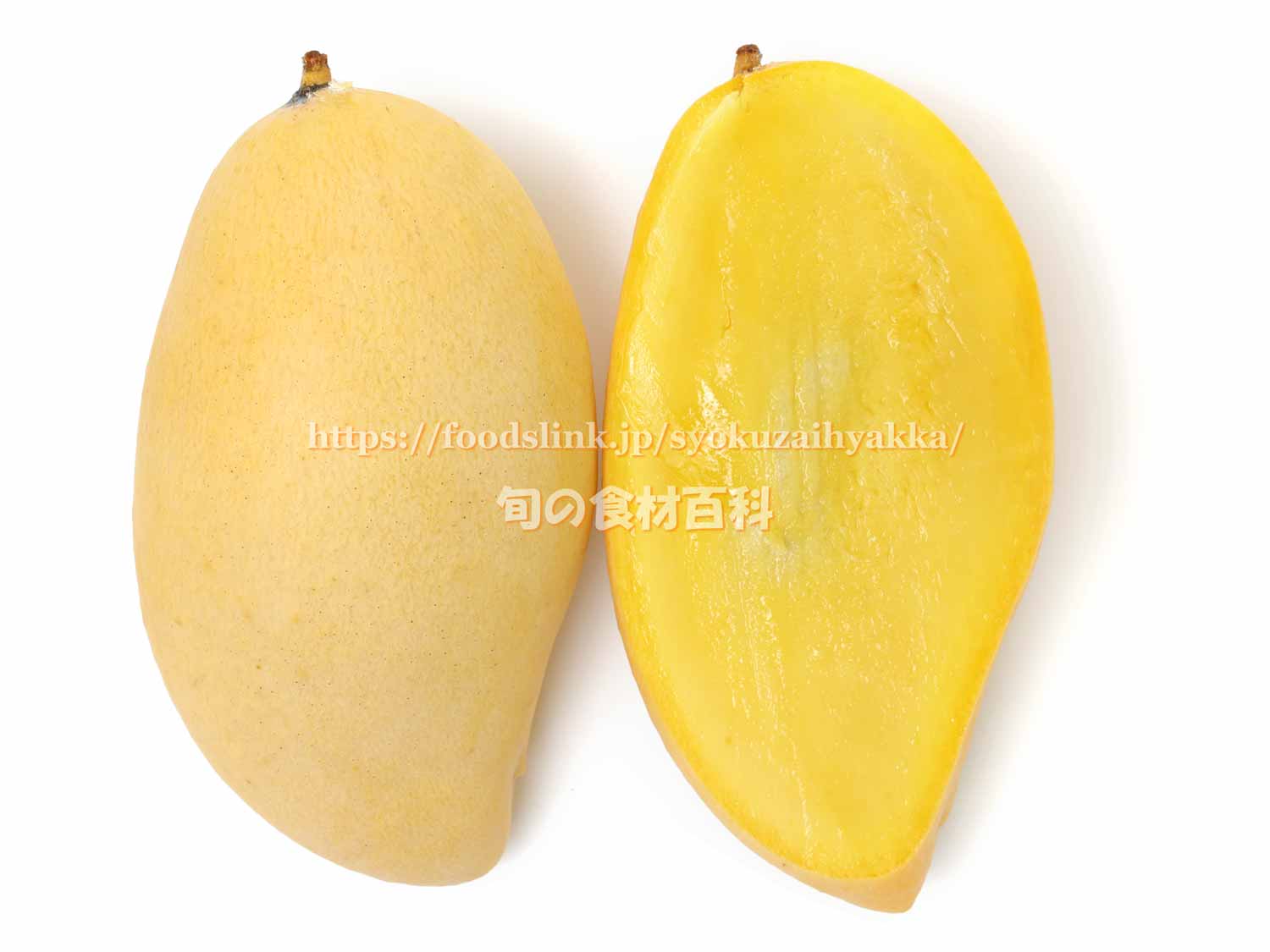 ナンドクマイ（Nam Dok Mai）種 ＜ マンゴー：旬の果物百科