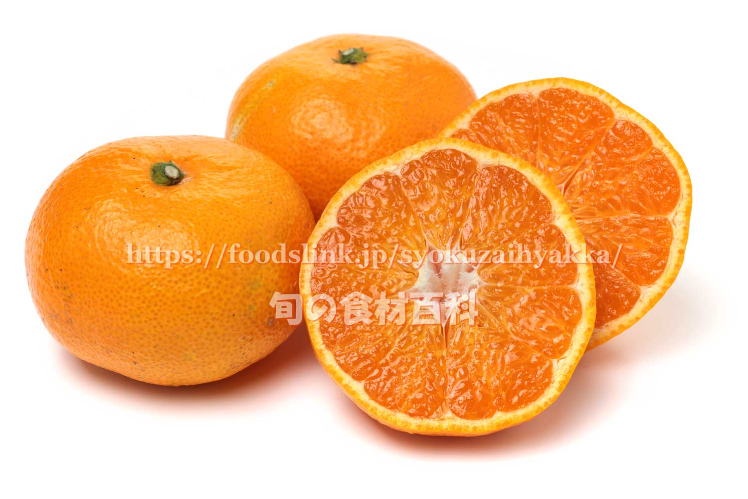 田口早生（たぐちわせ） ＜ 温州みかん：旬の果物百科