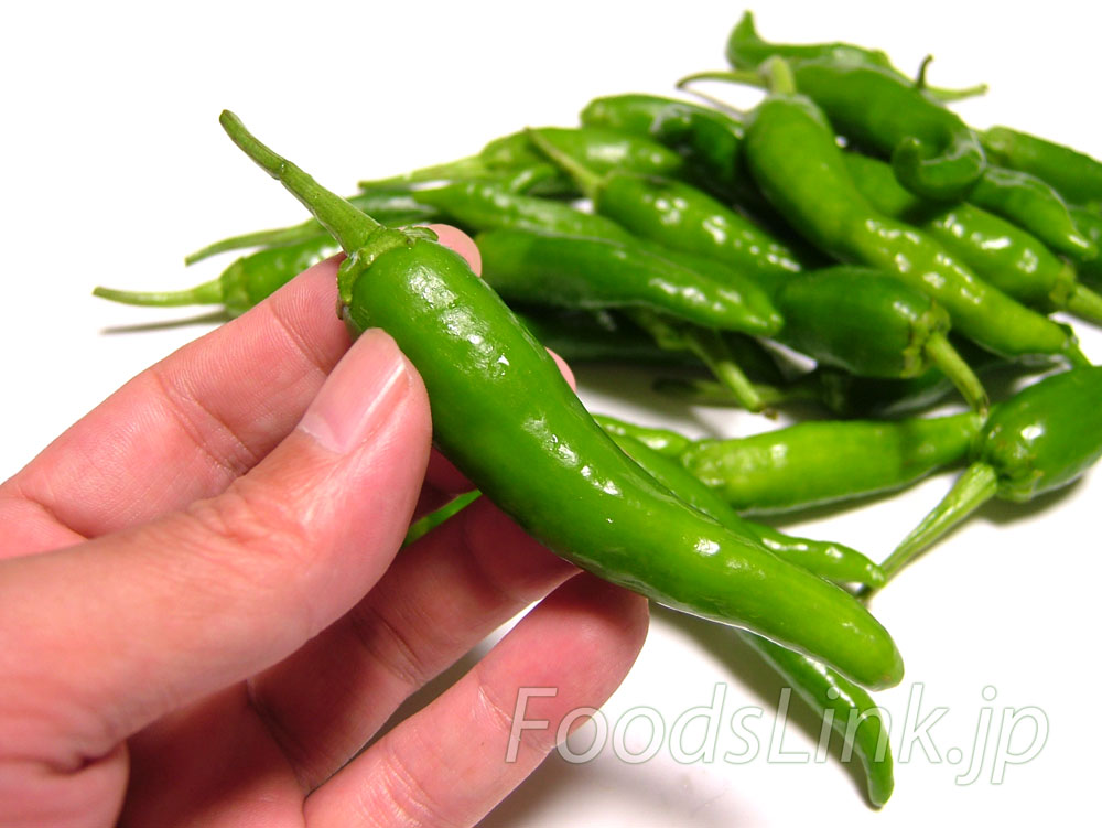 青唐辛子（あおとうがらし）：旬の野菜百科