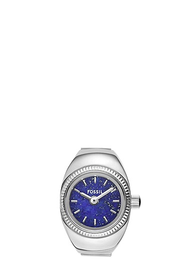 二針 ステンレススチール ウォッチリング