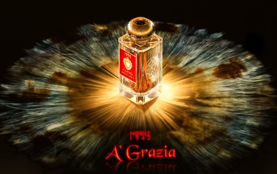 アクア・ノービレ - 株式会社フォルテ