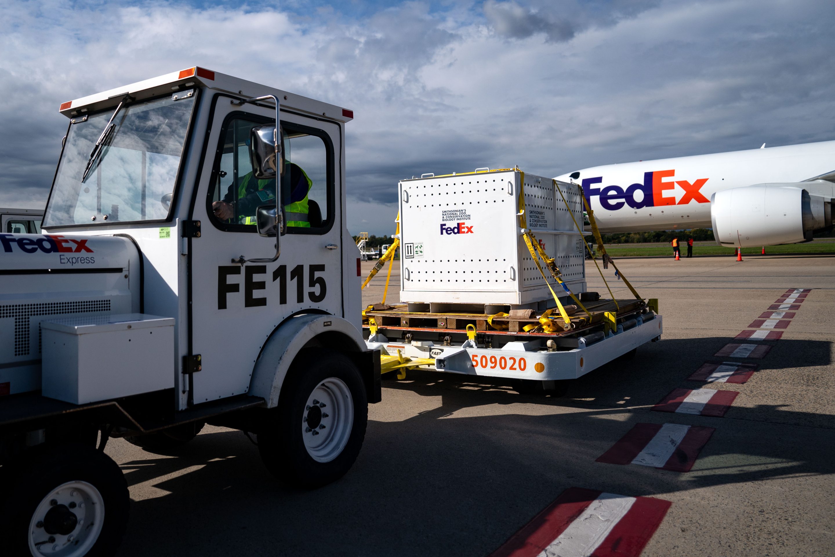 FedEx (FDX): Company Profile, Stock Price, News, Rankings | Fortune