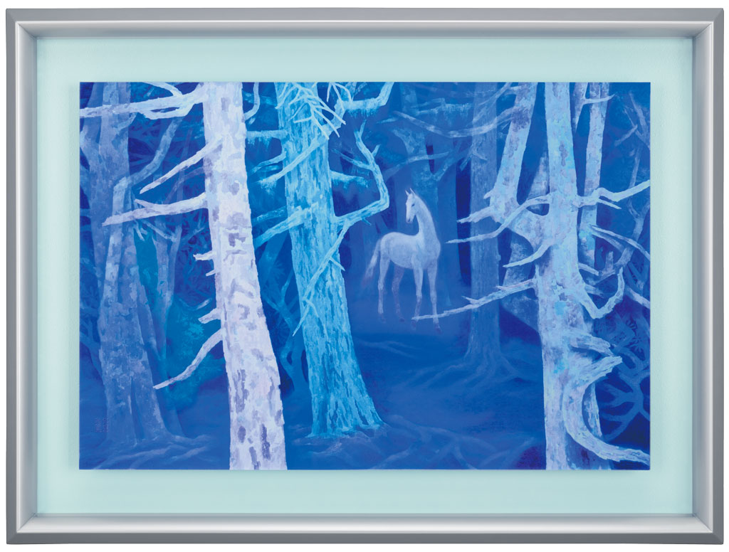 東山魁夷『白馬の森』特装版