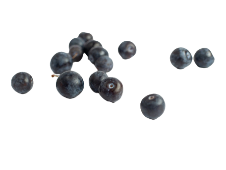 EVENING PEPTIDE CREAM - formidabless.com