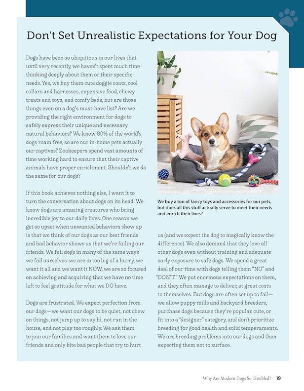 Positive Training for Aggressive and Reactive Dogs | Fox Chapel