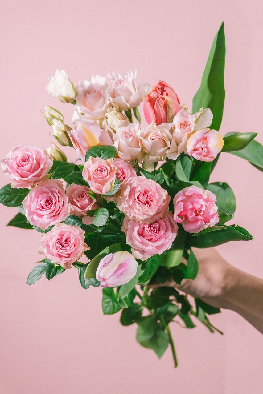 7月のお買い得】バラの香りくらべピンクアソート