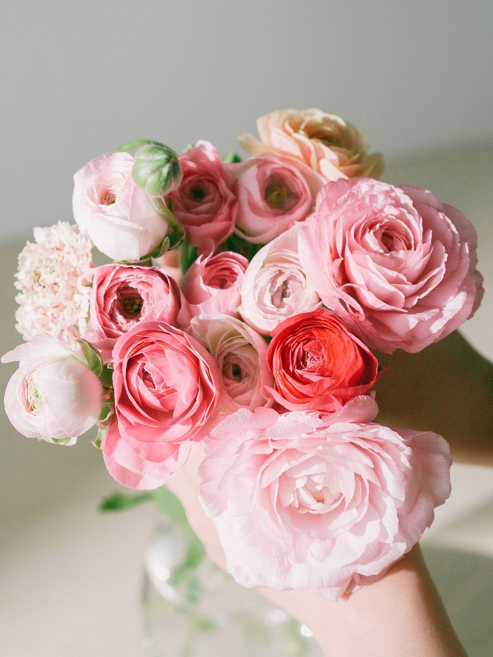 7月のお買い得】バラの香りくらべピンクアソート