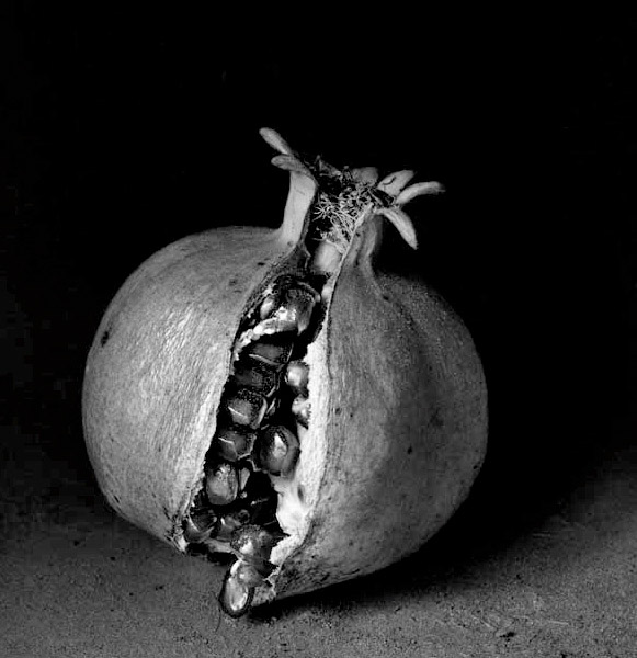 Inner Light - FLOR GARDUÑO