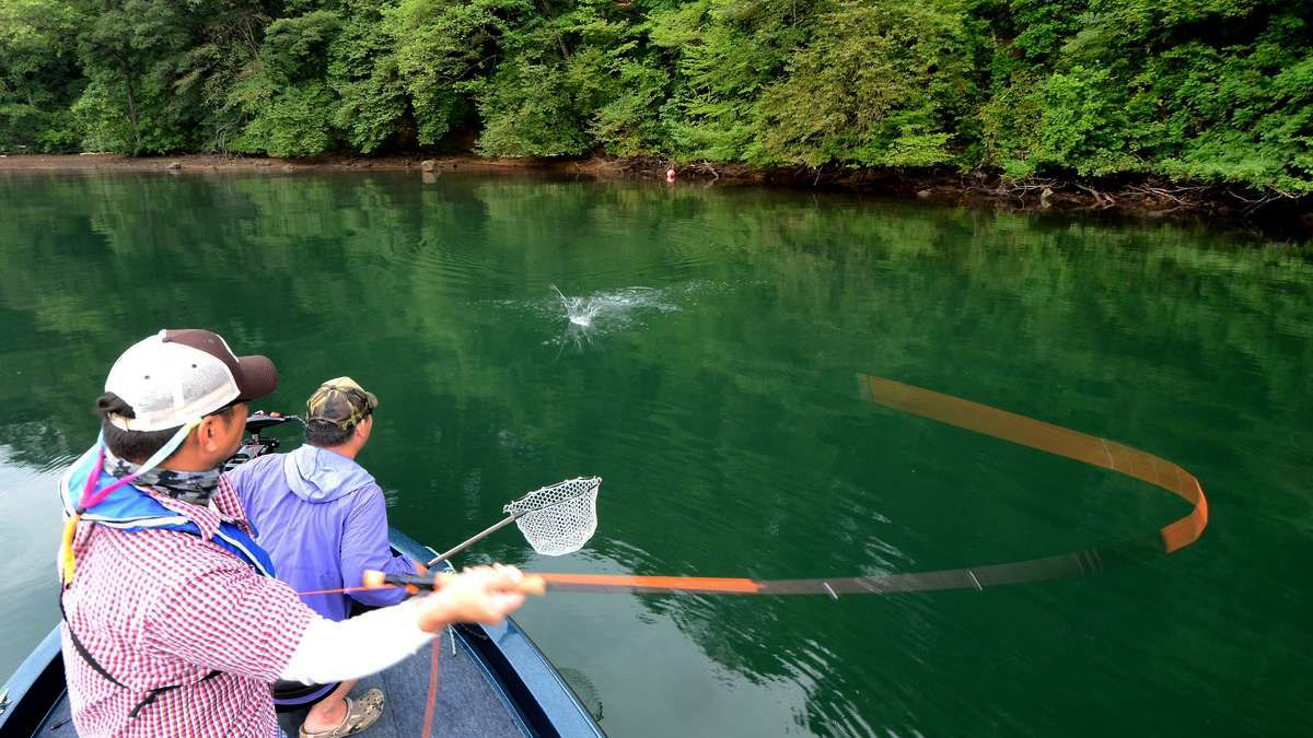 6ロッドで楽しむ バスフィッシング | ARTICLES | FlyFisher ONLINE