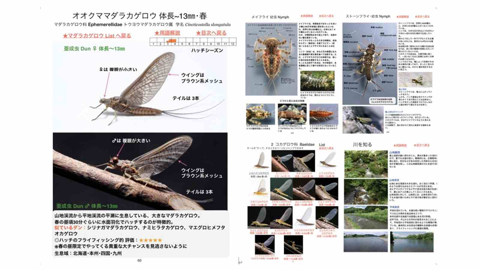 水生昆虫ガイドブック』書籍化PJ開始！ | EVENT | FlyFisher ONLINE