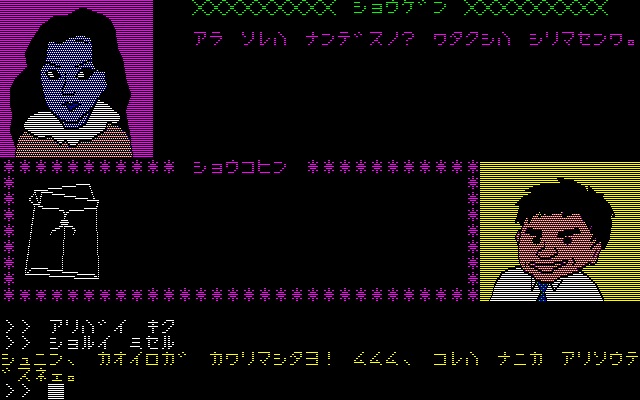 PC-8801 黒猫荘相続殺人事件 5インチFD版 ソフト PC-8801 黒猫荘相続