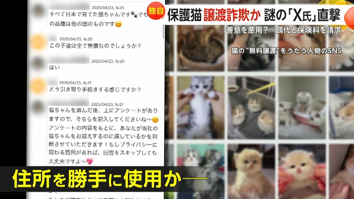 独自】「子猫を無償譲渡」偽りエサ代と保険料3万円請求するX氏直撃