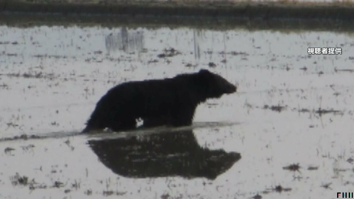 img_da46a631e0841e46bdae2a9cce